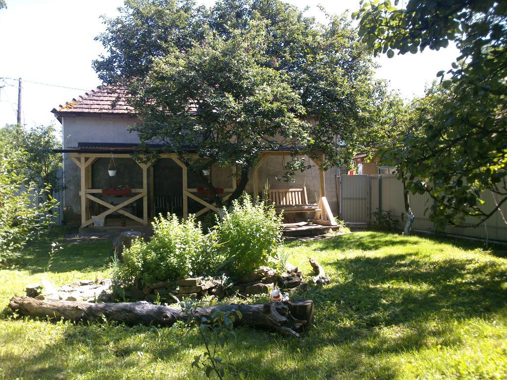 Villa Svalyavа Svalyava Extérieur photo